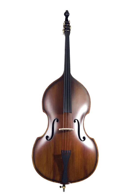 Musical instument Contrabass