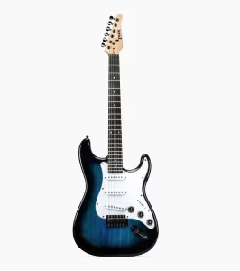 Electric Guitar