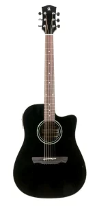 Electriacoustic Guitar