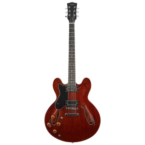 Semi-hollow Guitar